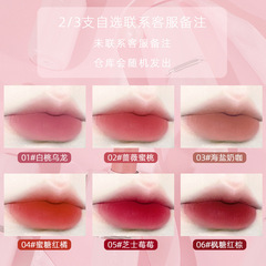 海倫麗人直播新款口紅滋潤唇膏唇釉跨境彩妝霧面啞光批發一件代發