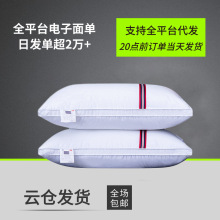 工厂特价酒店家用枕头枕芯成人枕芯双人羽丝绒护颈枕学生软枕代发