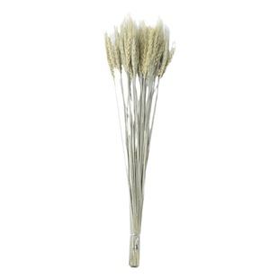 Wheat spike rice spike wheat barley wheat spike dried flower eternal flower natural plant decoration photo props opening flower basket flower arrangement