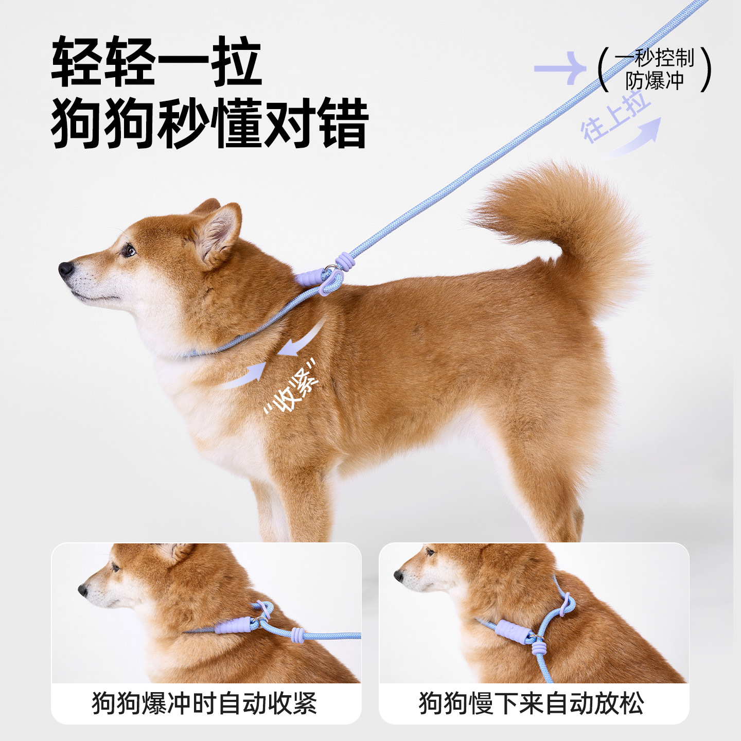 Nueva cuerda de tracción a prueba de explosiones, cuerda p, perro pequeño y mediano, anti-liberación, cadena P, perro grande, cuerda para perro, cuello, perro, cruce transfronterizo