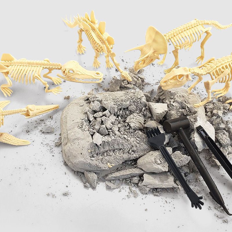 Archaeological excavation plaster toy dinosaur fossil Raptor skeleton model children's handmade DIY assembled toy