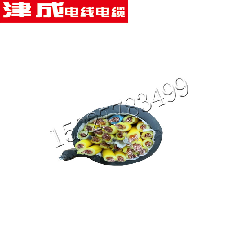 KVV22 KYJV RVVZ 阻燃电力电缆铜芯铠装护套无氧铜天津津成现货