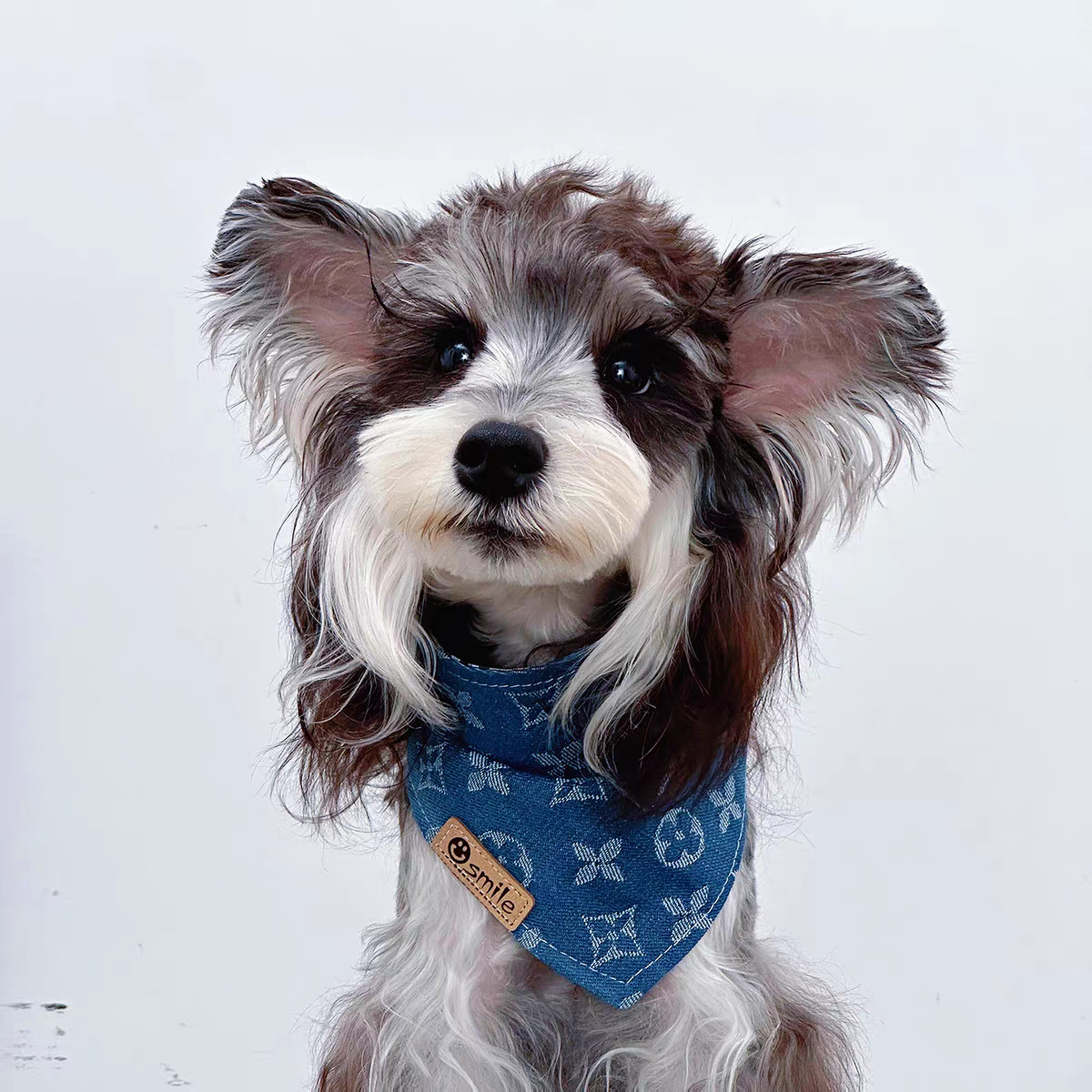 Bufandas para perros, bufandas de saliva, accesorios para el cuello, nuevos modelos clásicos, nuevas mascotas, perros pequeños, gatos, perros medianos