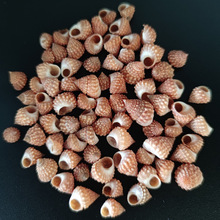 ȻݼtRݘ˱ľзQˮ쾰΢^Ƥ