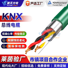 KNX|EIB|BUS-EIB2x2x0.8Ҿ_P|