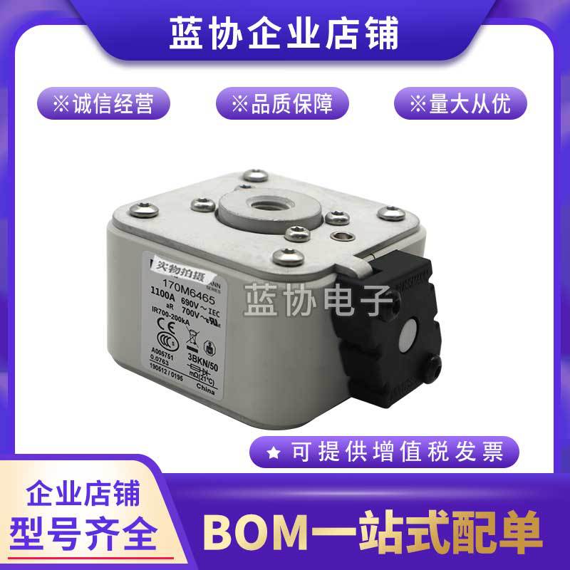 巴斯曼原装进口170M6458 170M6459 170M6460 170M6461 170M6462