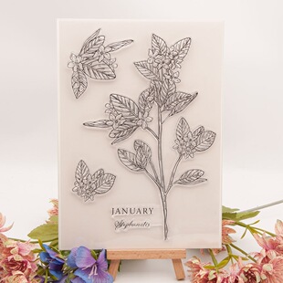 ͸��ӡ�� DIY ���~��Ʒ�D�� T1828 һ��ǧ�����ٻ� Stephanotis