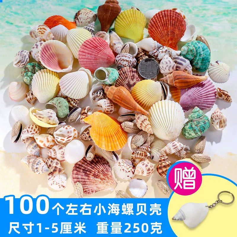 Organic aquarium with shells, aquarium decor, sample handmade