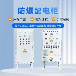 Explosion-Proof Power Control Distribution Cabinet Explosion-Proof Box Switching Power Supply Floor-Standing Carbon Steel Explosion-Proof Distribution Device