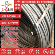 ���� ������䓬F؛B55SiCr-3 ���䓾��� �P�A�� ����䓲�