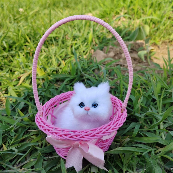 Will be called Meihong's big raising basket pure white cat