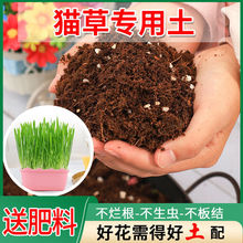 猫草土养花种植土通用型土家用种花有机盆栽花泥花卉黑土
