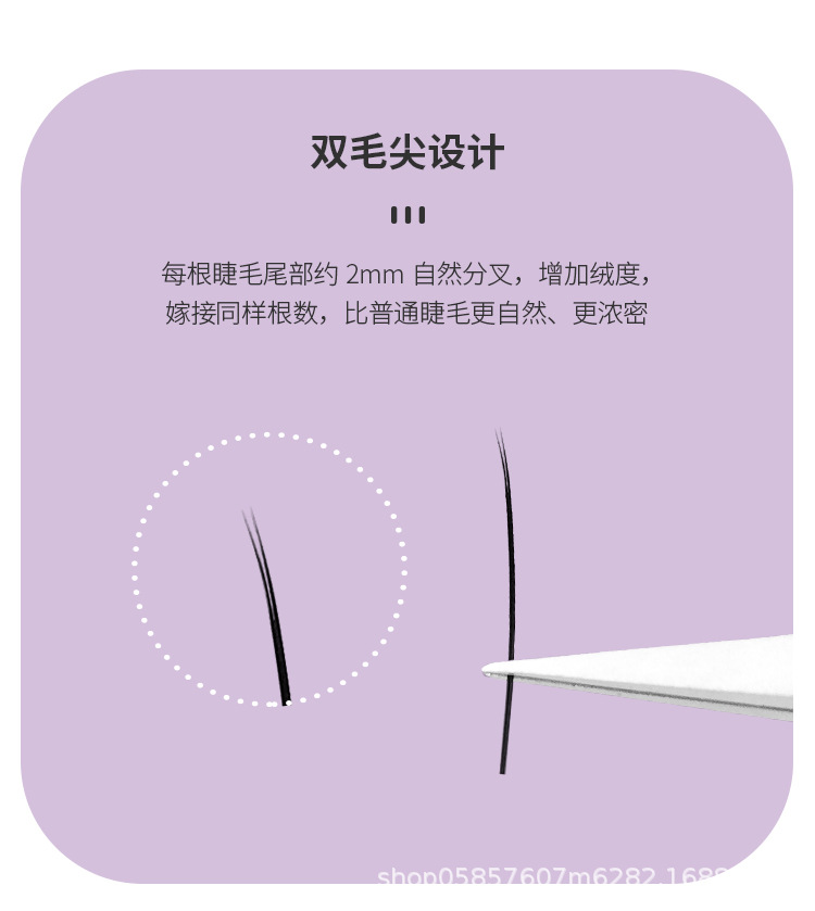 双尖扁毛睫毛 双尖扁毛睫毛