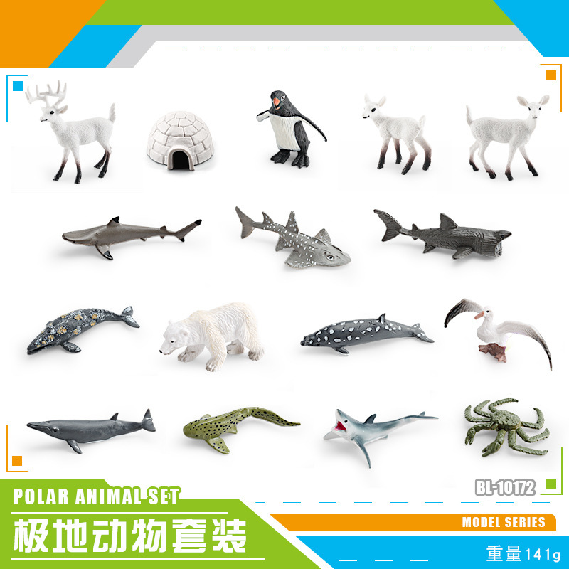 Exportación transfronteriza simulación modelo de animales polares mini animales de invierno ártico beluga morsa cognición educación temprana decoración