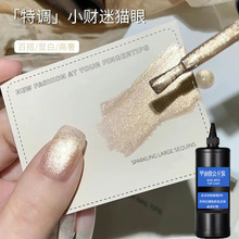 Сؔ��؈���㙉������؈���z2025�W�t����W�����z�K��؈��