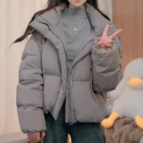 Puff Down Jacket Short Loose Thick Internet Popular Winter Warm Simple Loose Women All-match Stitching Casual