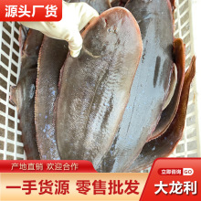 超大龙利鱼一条约一斤海鲜水产非柳巴沙鱼清蒸辅食海鱼原产地批发