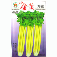 S۲˷NSUN  ̨߲ﶬѷNļԲݲ˷N