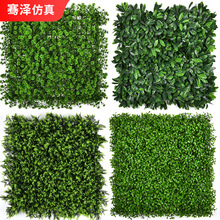 ���Ʒ���ֲ����챳�������b� �����⾀���m��ƺ���ϼپGֲ��