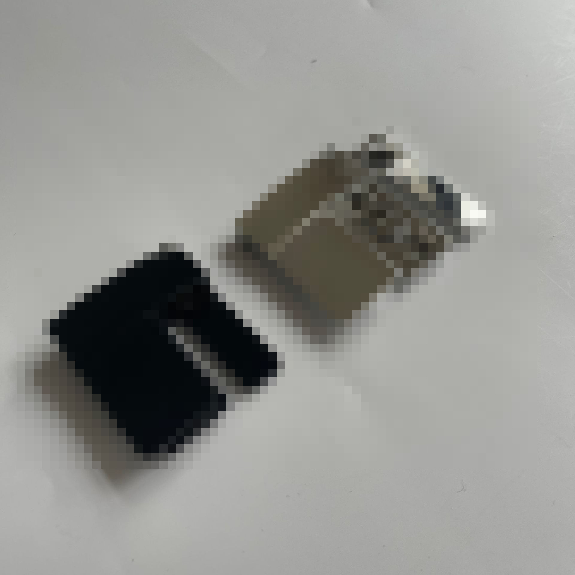 Tiktok plegable hebilla de cinturón ALTERNATIVA plegable multifuncional clip de cinturón pantalones ajustables tamaño