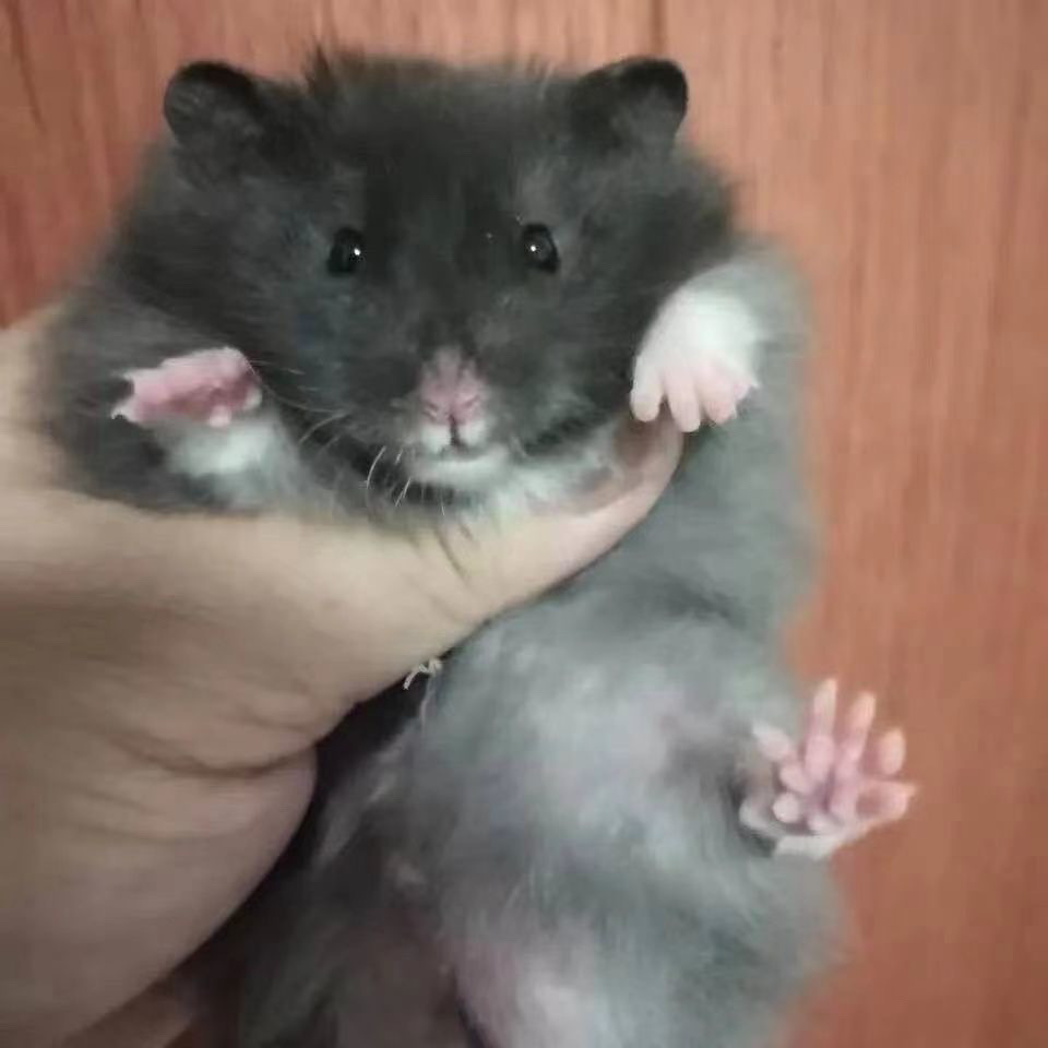 290e5c93-6166-4305-a42e-fcd36fa44777.jpe