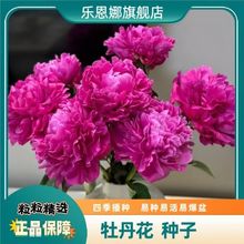 ĵ�����N�����ĵ�������ļ����N�׻��̨ͥԺ�҃���Nֲ���ܷN��