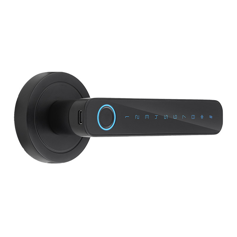 Graffiti de comercio electrónico transfronterizo inteligente antirrobo cerradura de la puerta interior puerta manija huella digital contraseña cerradura apartamento cerradura electrónica
