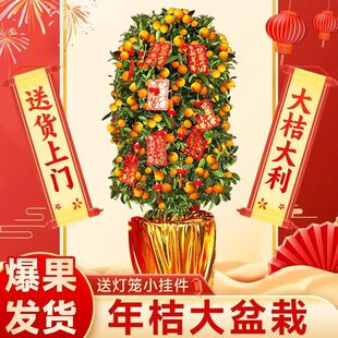 ���ͽ�ۘ����Ԏ����ļ����Ә��辰ֲ���҃ȿ͏d�������Ә���ۘ�