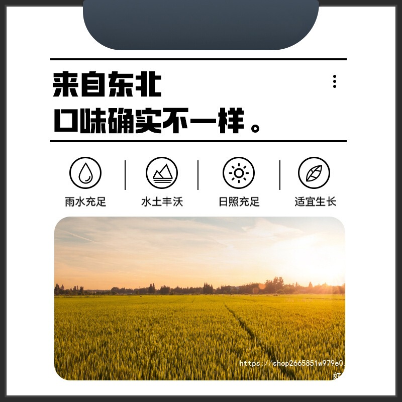 东北糯米圆粒新糯米白江米包粽子糍粑大米汤圆酿酒农家五谷杂粮|undefined