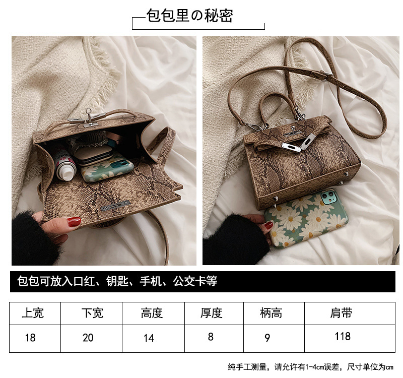 Simple Printed Shoulder New Fashion Casual Platinum Messenger Portable Bag display picture 1
