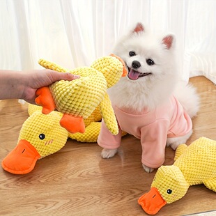 �羳�����������С�S��ë�qĥ���l�¸½н␞С����ż�_�h����