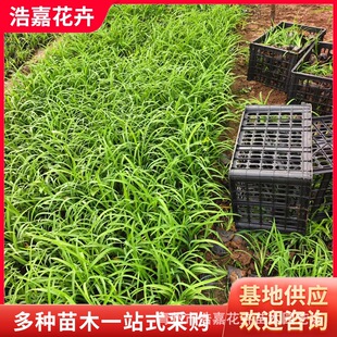 �S�Ҵ���� ��������� ɽ�|���ݺƼλ�����ľ����ݻ�������