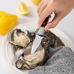 牡蠣ナイフ、ステンレス製牡蠣ナイフ、木製ハンドルの牡蠣ナイフ、牡蠣殻割りナイフ、貝殻割りナイフ、既製品、ナイフカバー付き