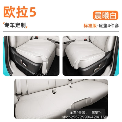 breathable Great Wall seat cushion – Seat cushion, seat cover - dawn-white4-piece-set-full-car-floor-mats-euler-5