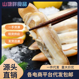 �|�������r����|���⺣�r���|���|���r��������}�������r����