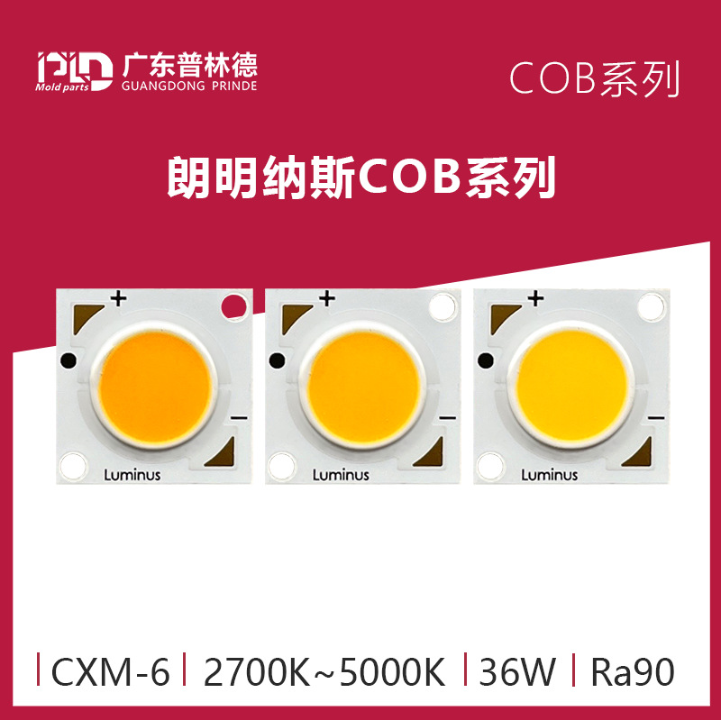 朗明纳斯-CXM-6