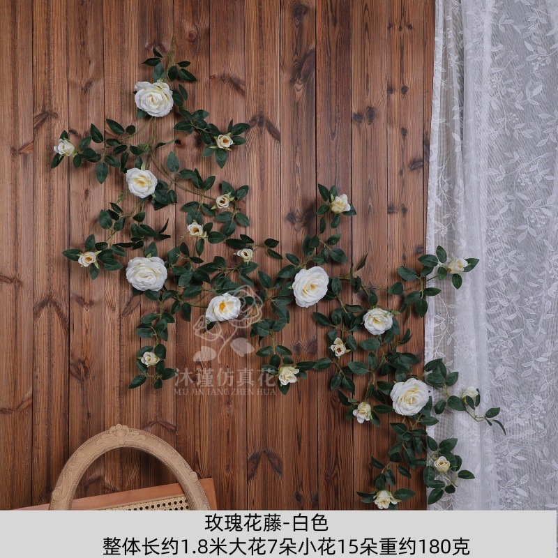 장미 덩굴