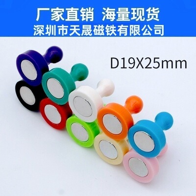 D19*25中号彩色强力磁钉 毛毡镇纸办公教学冰箱塑料钕铁硼强磁钉|ms