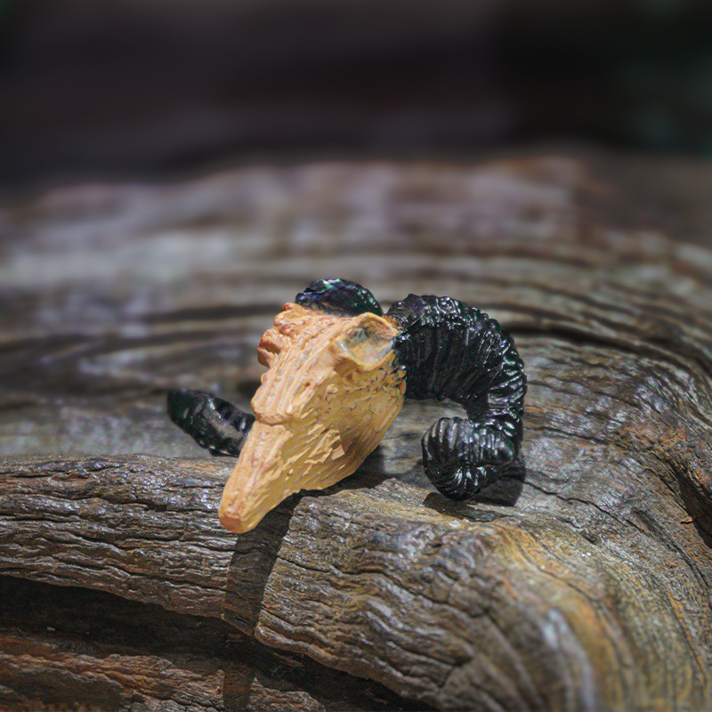Nueva Decoración Creativa para Peceras con Calaveras de Oveja y Tiburón, Adornos Artesanales, Reliquias de Tiranosaurio Rex