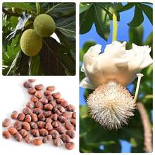 �����N��������_�ۘ��R���������������ľ���Ͳ������������