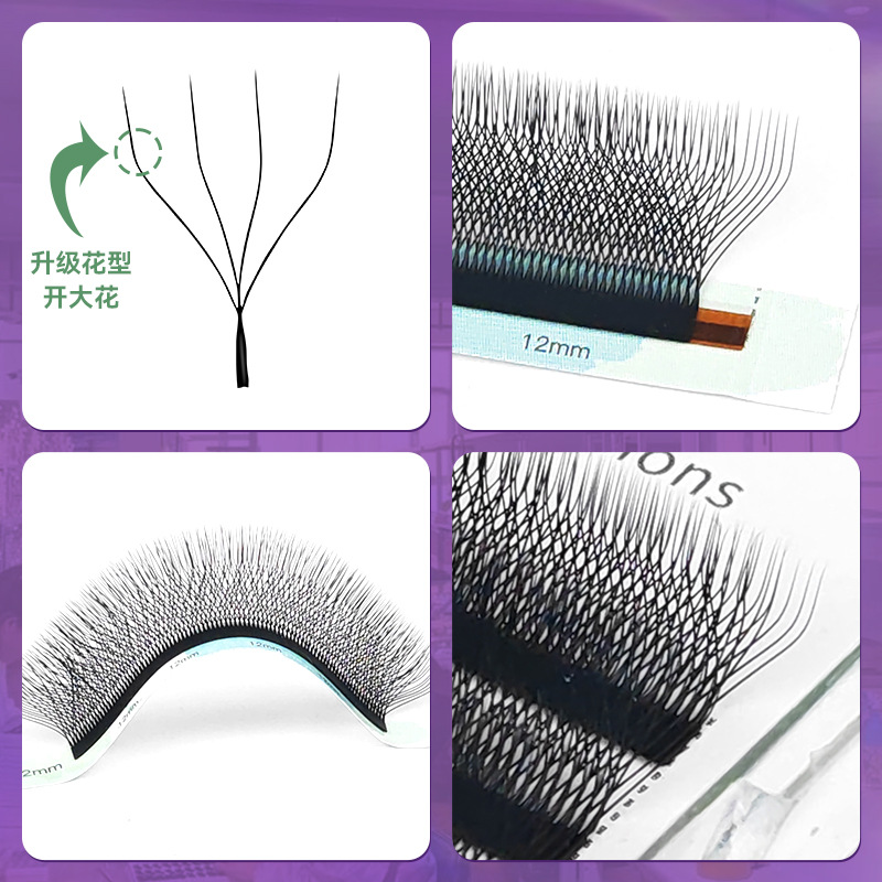 Fábrica de vinos 4D tetrafolia injerto de flores pestañas aleatorias para el estetista de pestañas