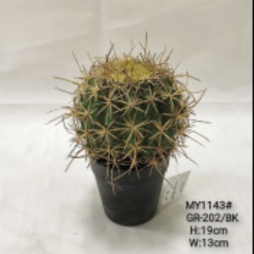 仿真龙神柱仙人掌寄生仙人球摩洛哥沙生植物造景软装样板工程装饰|undefined