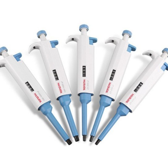 2024-12-19 09:19:48.jpg