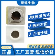 ���t����͸ș���ßo��������늘OƬ�t���F������ʽ�S��ֱ��