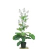 Realistic plastic decorations, flowerpot, wholesale