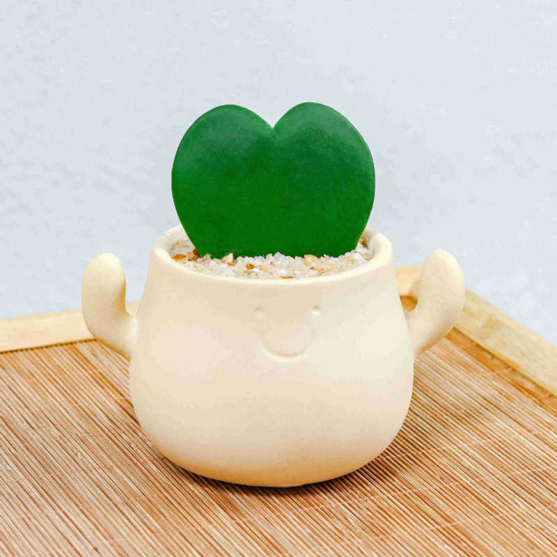 Beige Smiley Face Heart-Shaped Orchid Desktop Potted Plant Succulent, a Heartfelt Gift, Fun Cultivation Heart-Shaped Plant Beige Smiley Face Heart-Shaped Orchid Desktop Potted Plant Succulent, a Heartfelt Gift, Fun Cultivation Heart-Shaped Plant