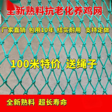 拦鸡网养鸡围网家禽养殖网山鸡网尼龙网菜园围栏网塑料网户外天网
