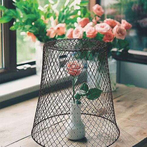 Amazon Iron Plant Protection Cover Garden Dome Seedling Fruit and Vegetable Protection Cage Raising and Maintenance Tool