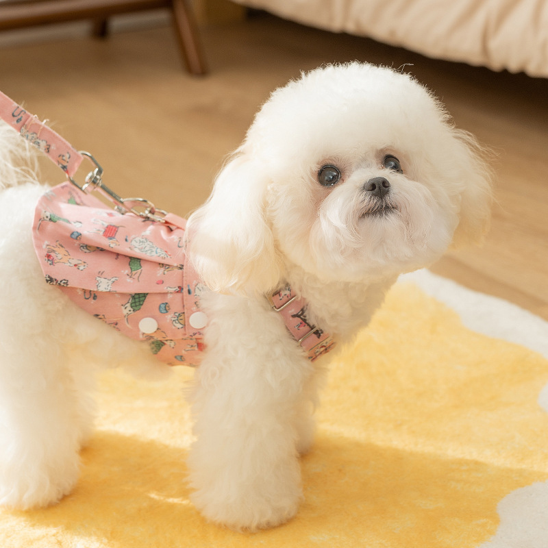 Otoño y invierno perros princesas viento caricaturas lindos cachorros tatuajes de tracción de falda de caballo falda de gato ropa de perro