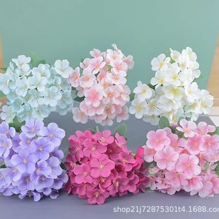 �S��ֱ��5�溣��С�O�������R�dins����ˇ���潁�����l��c�ٻ�